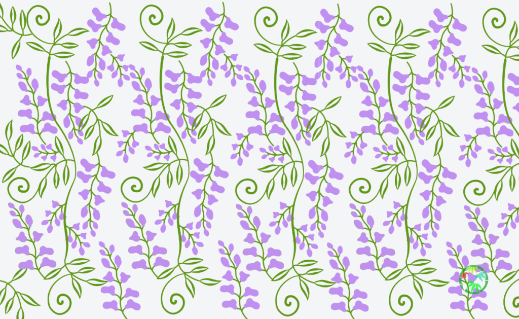 たわわに長く垂れ下がって咲く花「藤唐草文様」の描き下ろしイラスト
