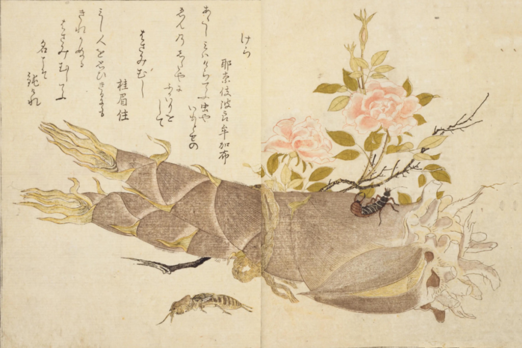 『画本虫ゑらみ』喜多川歌麿 画 出典:国立国会図書館デジタルコレクション