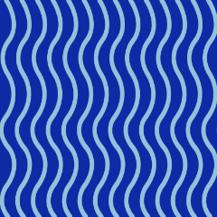 蛇行している縦線が特徴の縞文様