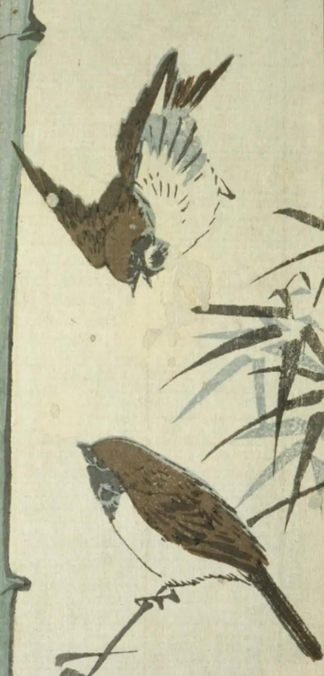 竹雀図 安藤広重 画 出典:国立国会図書館デジタルコレクション